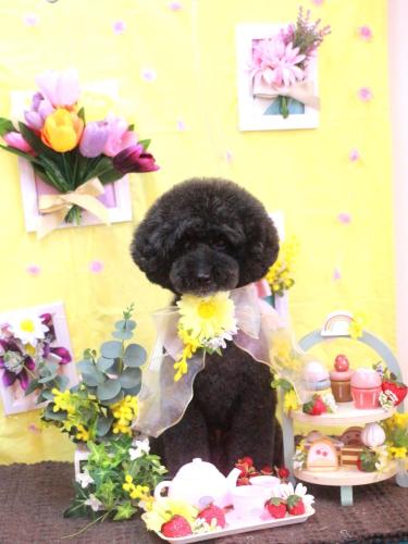 20230304ラブくん